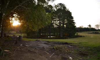 Imagem 4: Área à venda, 100000 m² por R$ 4.899.000,00 - Mato Queimado - Gramado/RS