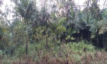 Imagem 7: ITANHAÉM - Terreno Padrão - JARDIM AGUAPEÚ