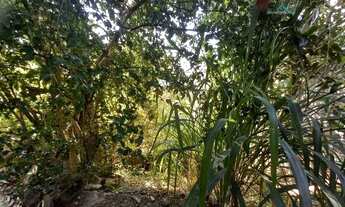 Imagem 4: Terreno à venda, 390 m² por R$ 400.000,00 - Sagrada Família - Belo Horizonte/MG