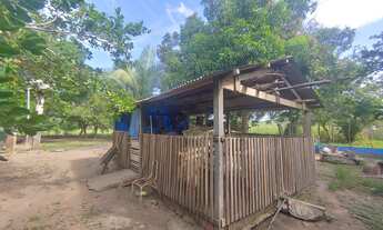 Imagem 7: Sítio à venda, 17 hectares, Piscicultura, Pecuária, 23km até Cuiabá-MT