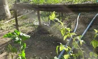 Imagem 3: SÍTIO EM GUAIÚBA ( LEIA DESCRIÇÃO