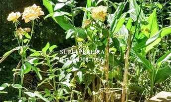 Imagem 7: Casa para aluguel e venda possui 850 metros quadrados com 5 quartos