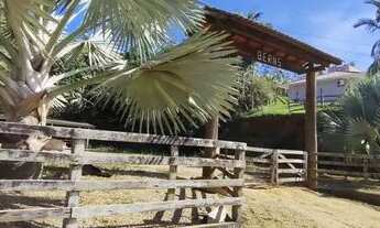 Imagem 3: Terreno rural em Antônio Carlos SC