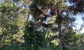 Imagem 5: 117715 CHACRINHA VÁRIAS FRUTÍFERAS, FIBRA ÓTICA, POÇO ARTESIANO, DUAS CASAS