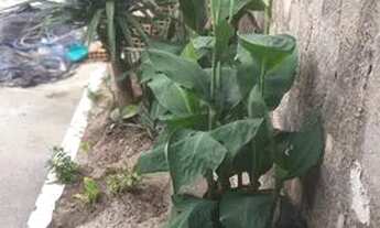 Imagem 6: Casa Grande Bairro Guanabara-Ptb/Betim