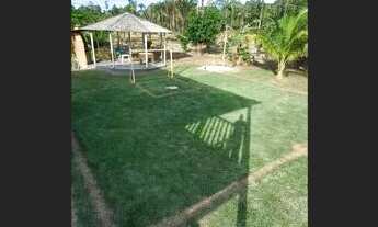 Imagem: Sítio Ramal ZF1- km 53 AM-010 100x500