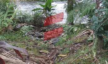 Imagem 3: CHÁCARA com 2 dormitórios à venda com 16000m² por R$ 320.000,00 no bairro Rio do Nunes - A