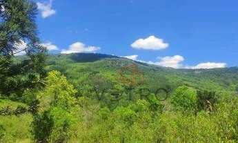Imagem 3: Sítio na Linha Pedra Branca em Gramado!