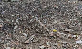 Imagem 4: Vendo Terreno em Guriri-ES