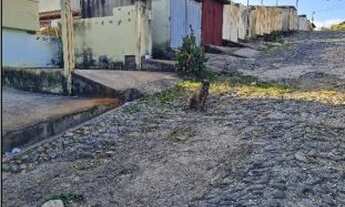 Imagem 2: MATOZINHOS - Casa Padrão