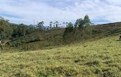 Imagem 6: TERRENOS DE 600 METROS E 1000 METROS COM ACESSO A LAGO E ÓTIMA TOPOGRAFIA