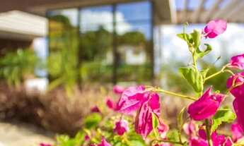 Imagem 2: Apartamento para venda tem 53 m2 com 2 quartos - Pium