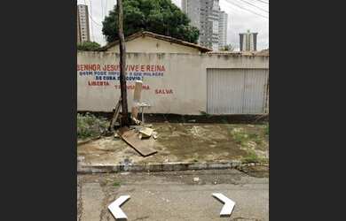 Imagem 2: VENDO ÓTIMO LOTE