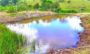 Imagem 4: Fazenda de 74 tarefas no entroncamento de São Miguel das Matas