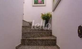 Imagem 4: São Paulo - Casa Padrão - Saúde