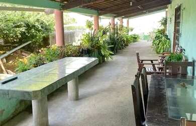 Imagem 4: SÍTIO EM GUAIÚBA ( LEIA DESCRIÇÃO