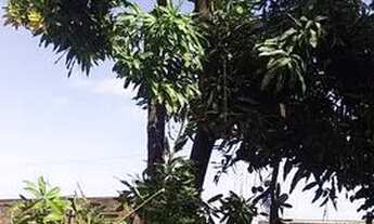 Imagem: Vendo casa parcelada 75mil