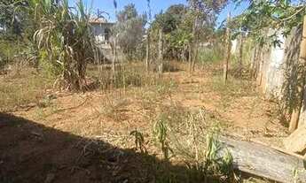 Imagem 7: Casa de 3 quartos prox ao centro de S J de Bicas