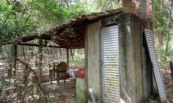 Imagem 7: Chácara 2.250 m² em condomínio, chalé, fogão a lenha, córrego nos fundos e cisterna