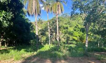 Imagem 2: Sitio 20.000 m², casa, piscina, área gourmet, agua corrente, cisterna, poço artesiano