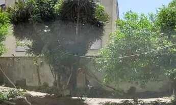 Imagem 10: Imóvel para venda tem 67 metros quadrados com 2 quartos em São Sebastião - Porto Alegre