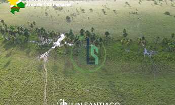 Imagem 6: Vendo 132 hectares