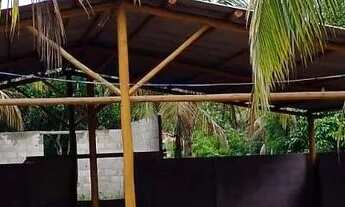 Imagem 2: Aluga-se Área Coberta em Terreno Amplo, em Local Tranquilo