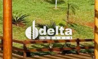 Imagem 5: Chácara disponível para venda na região rural em Uberlândia-MG