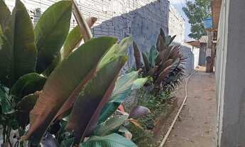 Imagem 7: Casa Térrea à venda, 5 quartos, Vila Cidade Morena - Campo Grande/MS