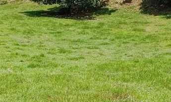 Imagem 4: Vendo maravilhosa Fazendinha em jaguaripe