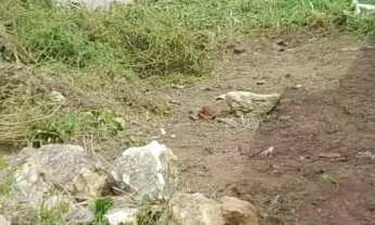 Imagem 2: EXCELENTE OPORTUNIDADE EM LOTAMENTO ABERTO