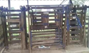 Imagem 4: Fazenda à Venda Porteira Fechada Januária/MG