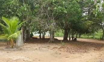 Imagem 2: Vendo Sítio Med 620.000m2 na Estrada de Autazes Km 32 em frente e comunidade Bom Jesus