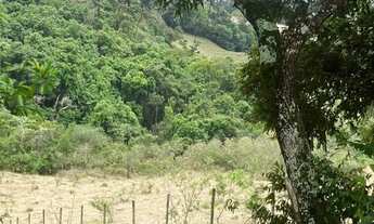 Imagem 4: Terreno 2.000 m² para chácara em São Caetano (Casa Grande) - a 12km de Queluzito!
