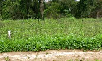 Imagem 5: Vendo Lote em Calcaia do Alto Entrada Facilitada no Boleto!