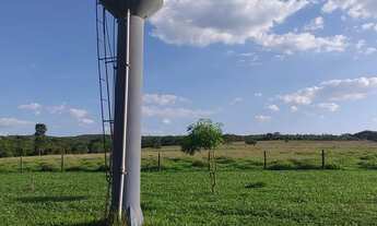 Imagem 4: FAZENDA 7 ALQUEIRES ALEXÂNIA- GO