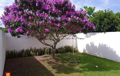 Imagem 4: Casa em Campeche