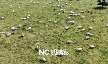 Imagem 2: Fazenda para Venda em Silva Jardim, CENTRO