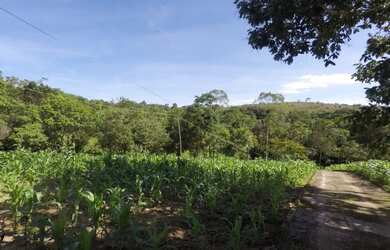 Imagem 3: Chácara Na zona Rural do Girassol Goiás