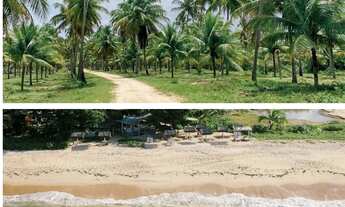 Imagem 3: Pé na Areia em Guaiu