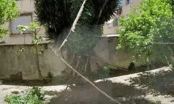 Imagem 16: Imóvel para venda tem 67 metros quadrados com 2 quartos em São Sebastião - Porto Alegre