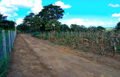 Imagem 3: Chácara 7.500m2 com Casa 3/4 a 40 km de Goiânia!
