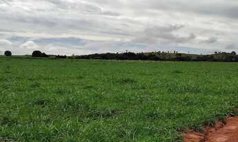 Imagem 5: FAZENDA Á VENDA 75 ALQUEIRES URUANA - GO