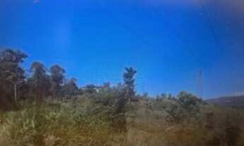 Imagem 3: Terreno 15.000 m²