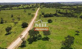 Imagem 5: Fazenda 310 alqueires (1.500,4 hectares) Catalão - GO