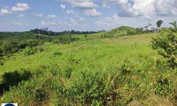 Imagem 6: Vende-se 2 Fazendas em Alto Alegre - Roraima