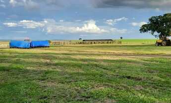 Imagem 6: Fazenda à Venda em Baliza - GO