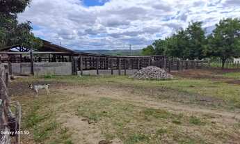 Imagem 7: FAZENDA EM IBIQUERA - 2000 TAREFAS