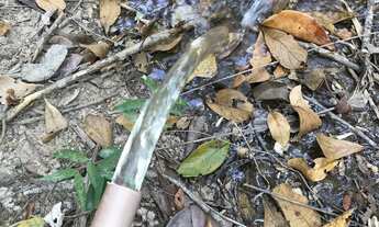 Imagem: Vale do Capão - Terreno