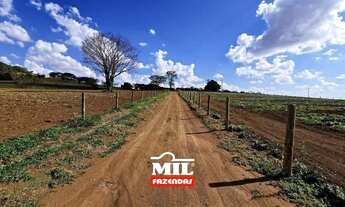 Imagem 7: Fazendinha de Dupla Aptidão, localizada no mun. de Leopoldo de Bulhões